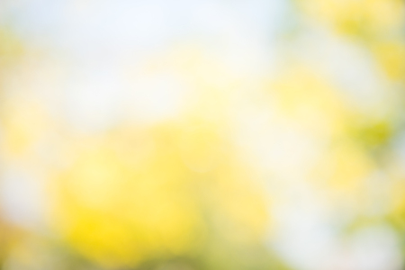 Photo by Lens defocus of Golden shower use as background.