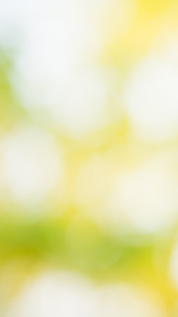 Photo by Lens defocus of Golden shower use as background.の写真素材