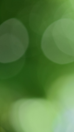 natural green backgroundの写真素材