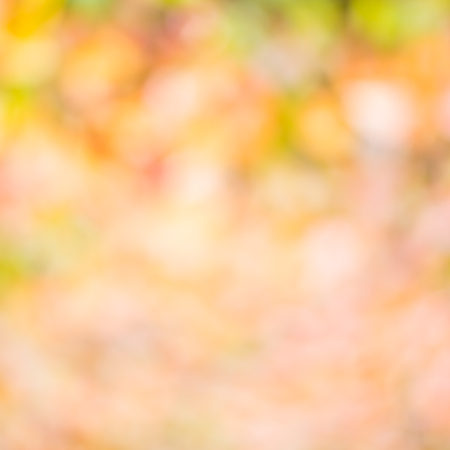 Green blurred background and sunlightの写真素材