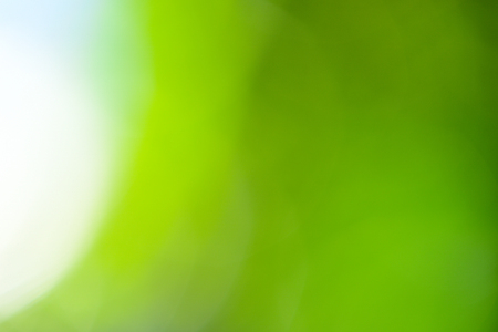 natural green backgroundの写真素材