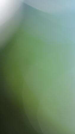 natural green backgroundの写真素材