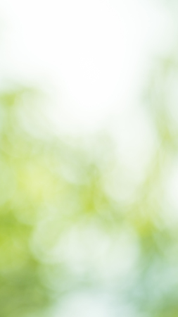 Green blurred background and sunlightの写真素材