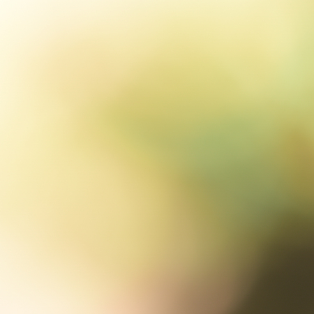 natural green backgroundの写真素材