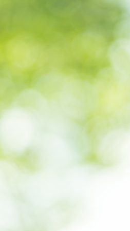 Green blurred background and sunlightの写真素材