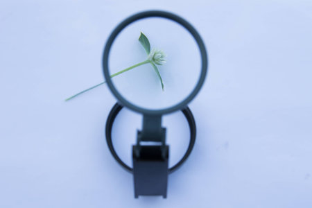 magnifying glass,の写真素材