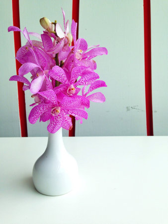 Vase isolationの素材