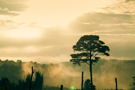 Morning in chiang maiの写真素材
