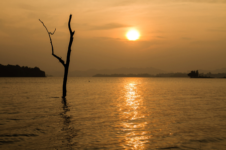 Solitary の写真素材