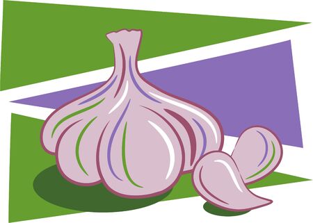 garlicの写真素材