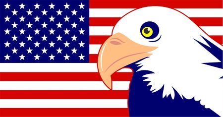 bald eagle flag usaの写真素材