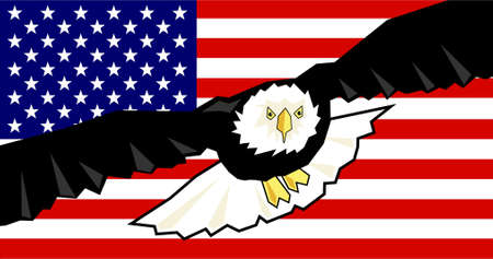 bald eagle flag usa