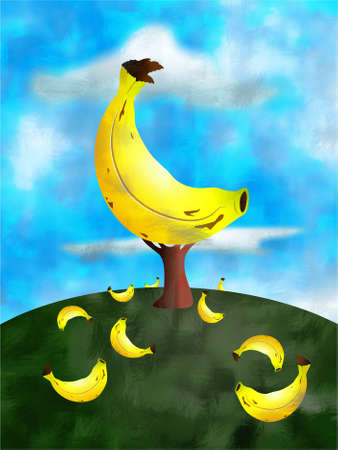 banana treeの写真素材