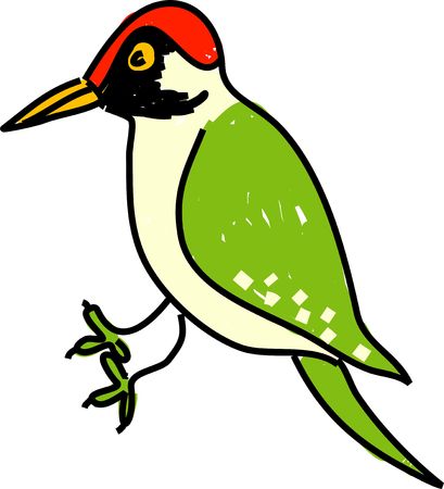 woodpecker isolated on white drawn in toddler art styleの写真素材