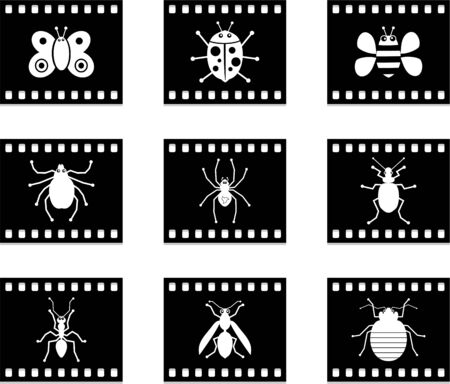 set of six bug film style icon buttonsの写真素材