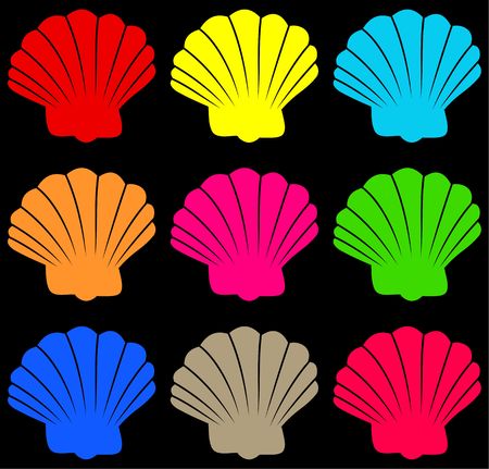 colourful scallop shell wallpaper background pattern design