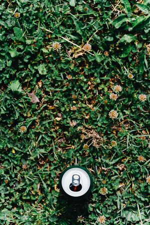 A can of beer against the grass overthe topの写真素材