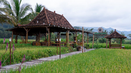 Yogyakarta, Indonesia - September 5, 2022: A cottage at Kopi Klothok Menoreh with a classic vintage Javanese style in the middle of a beautiful rice field areaのeditorial素材
