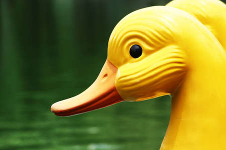 Yellow Duckの写真素材