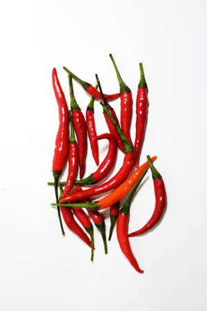 Pepper ,Chili Redの写真素材