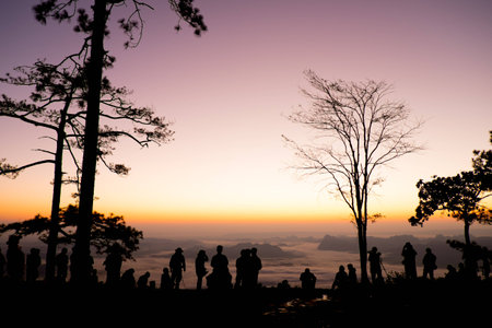 Sun rise in the wild