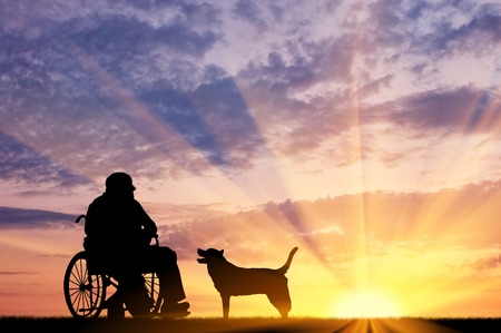 Concept of disability and old age. Silhouette of disabled person in a wheelchair with his dog at sunsetの写真素材