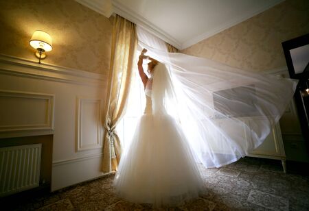 Wedding concept feelings and emotions. Beautiful and elegant a bride standing near a window