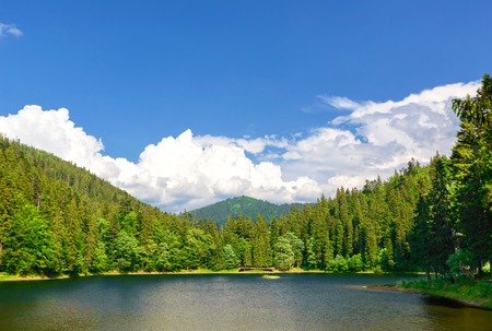 Mountain landscape lake in a forest. Summer seasonの写真素材
