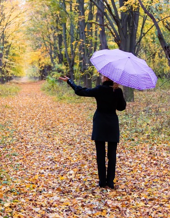 Concept of the fall season. Lonely woman with bright umbrella in autumn forest Rear viewの写真素材