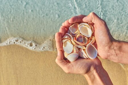 Seashells in hand of man on the background of the waves on the sand. tourism and recreation conceptの写真素材