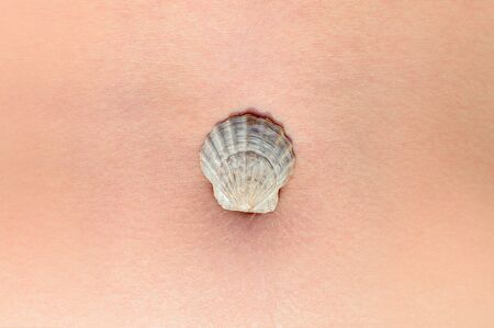 Decoration seashell on the woman's abdomen. recreation and tourism concept