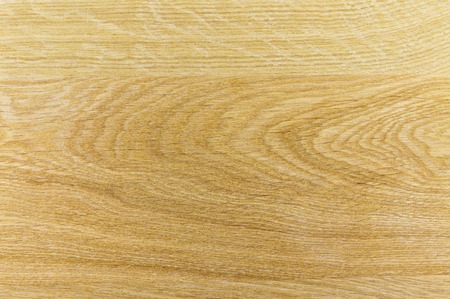 Drawing the tree. wood texture in the context of the macroの写真素材