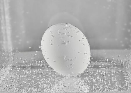 Boiled egg in water. design elementの写真素材
