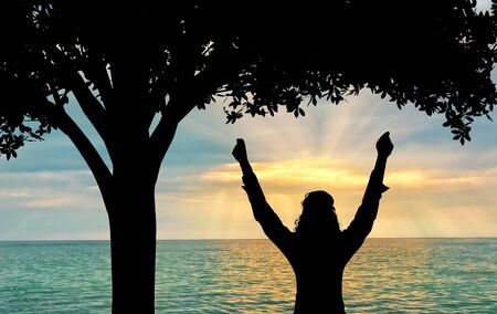 Success and happiness concept .. Silhouette of a happy woman on a background of sea sunset under a...