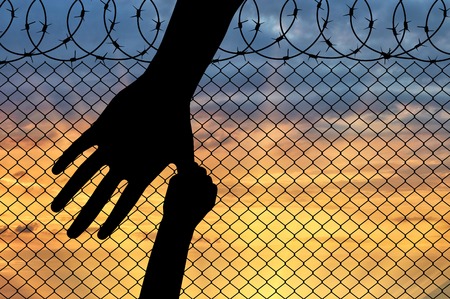 Refugee family concept. Hand parent holding the child's hand on the background of the border fenceの写真素材