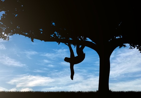 Sloth animal on the tree against the skyの写真素材