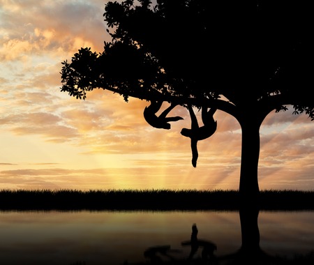 Pair sloths animals in a tree over the river at sunsetの写真素材