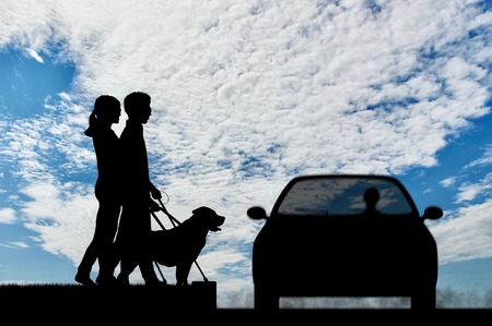Blind people disabilities with cane and dog guide cross road in front of car. Concept help blind people disabilitiesの写真素材