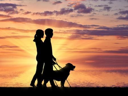 Blind people disabilities with cane and dog guide walking on sea sunset. Concept help blind people disabilitiesの写真素材