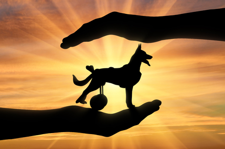Silhouette of a dog in a wheelchair in the hands of a man. The concept of helping pets with disabilitiesの写真素材
