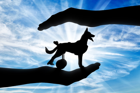 Silhouette of a dog in a wheelchair in the hands of a man. The concept of helping and caring animals with disabilitiesの写真素材