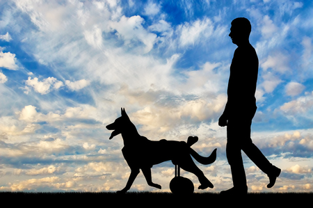 Dog in a wheelchair is walking next to the owner. The concept of helping petsの写真素材