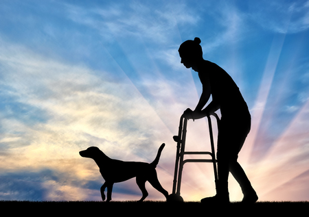 Silhouette of a disabled woman walking with a dog, uses a walker. The concept of the elderly and disabledの写真素材