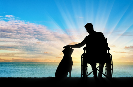 Silhouette of a disabled man in a wheelchair stroking his dog off the seashore. The concept of the way of life of people with disabilitiesの写真素材