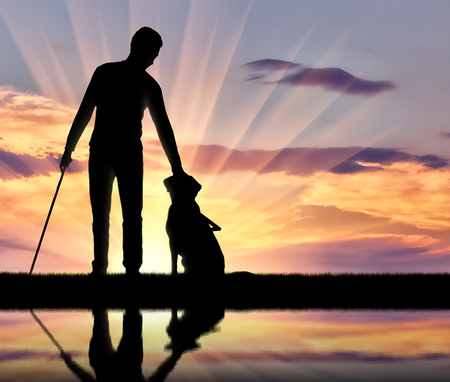 Silhouette of a blind disabled man stroking his dog guide resting by the river with his reflection. The concept of blind people with guide dogの写真素材
