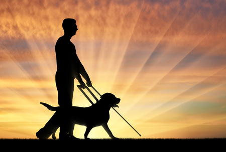 Silhouette of a blind man disabled man follows a dog guide on a sunset background. The concept of the blind invalid and the dog guideの写真素材