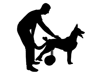 Silhouette vector Man strokes his paralyzed dog in a wheelchair. The concept of helping petsのイラスト素材
