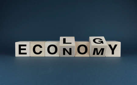 Ecology-economy. Cubes form the words Ecology - economy. The concept of ecology. social problemの写真素材
