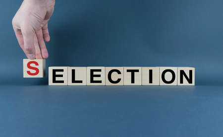Selection or Election. The cubes form the selection words Selection or Election. Voting concept