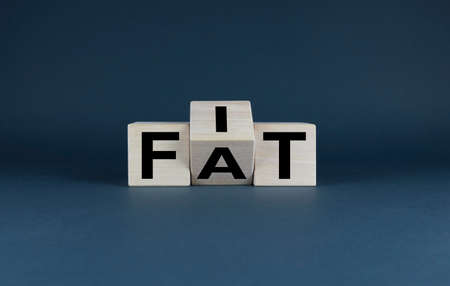 Fat or Fit. Cubes shape words Fat or Fit. Concept of choice, to be fat or slim and healthyの写真素材